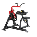 Steelflex Dual Plate Biceps Curl / Triceps Extension - PL2600-BR