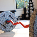 Barre de Curl Nike Shield - 10kg