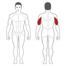 Steelflex Plate Load Extension Triceps - PLTE-BR